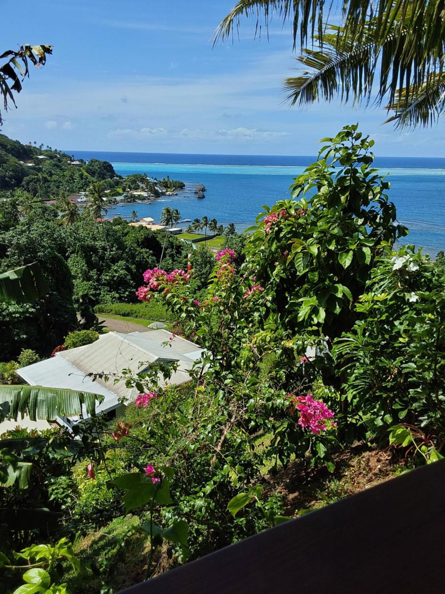 ウツロア Fare Mahi Mahi Bed & Breakfast エクステリア 写真